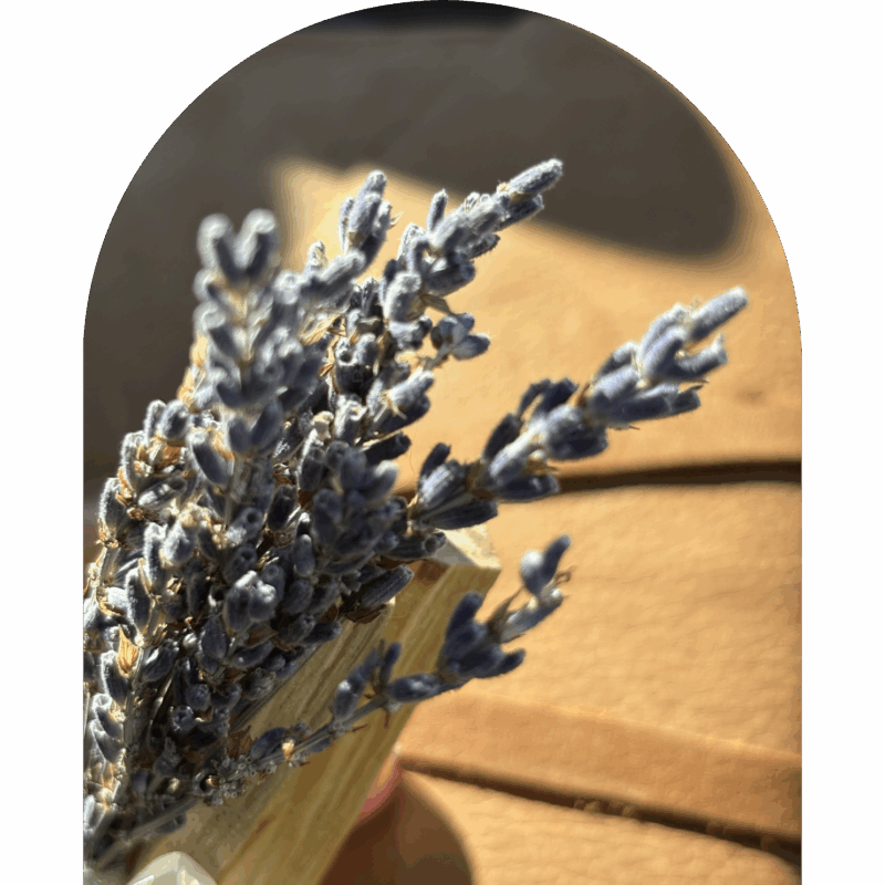 Luna Soothe (Lavender + Clear Quartz + Palo Santo) - Image 3