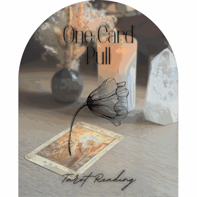 One Card Pull Intuitive Tarot Reading